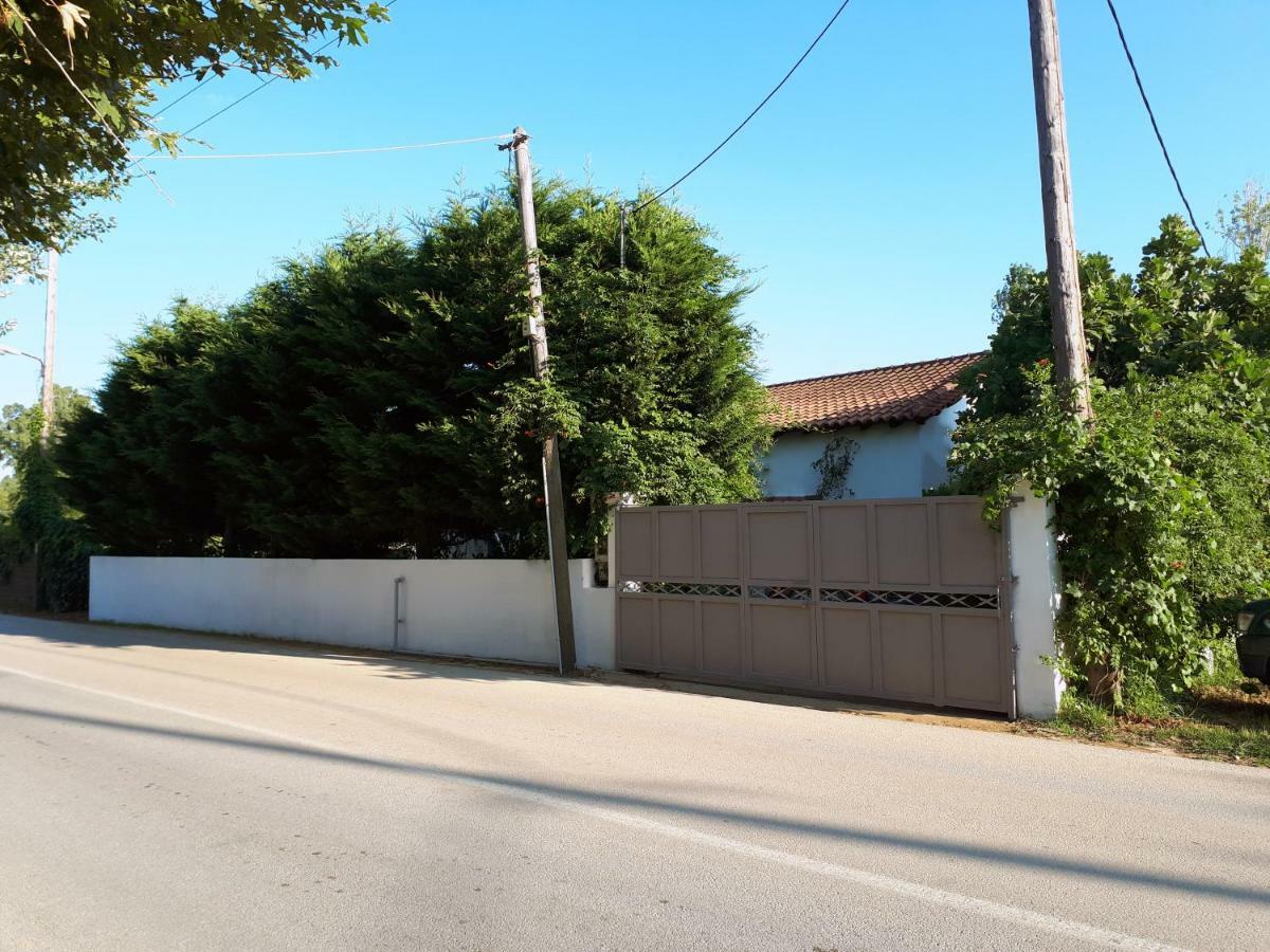 Ckiathi - Ckiaθi - Ps Rental Aya Paraskevi Dış mekan fotoğraf